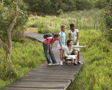 Kids Lee County and Charlotte County: Summer Kids Programs  - Fun 4 Fort Myers Kids