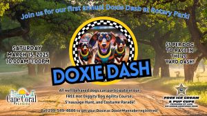 doxie dash.jpg