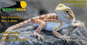 repticon.jpg