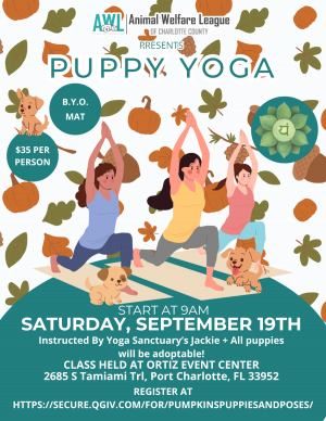 white_green_minimalist_yoga_class_promotion_flyer_2_-1784827200.png