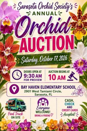SOS-Auction-683x1024.jpg