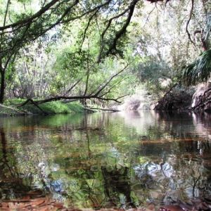 Myakkahatchee Creek Environmental Park