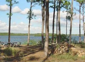 Myakka State Forest
