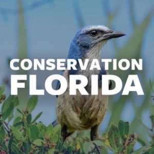 Gainesville - Paynes Prairie Preserve State Park