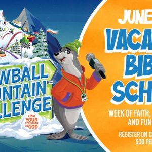 Cypress UMC VBS