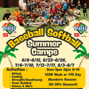 D-Bat Fort Myers - Summer Camps