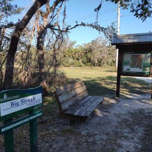 Big Slough Preserve