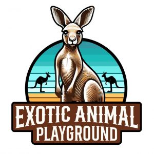 Exotic Animal Playground