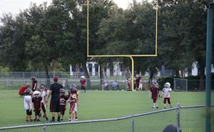 Larry Theonissen Athletic Fields