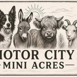 Motor City Mini Acres